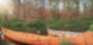 Traditional first nation canoe in Canada_edited.jpg