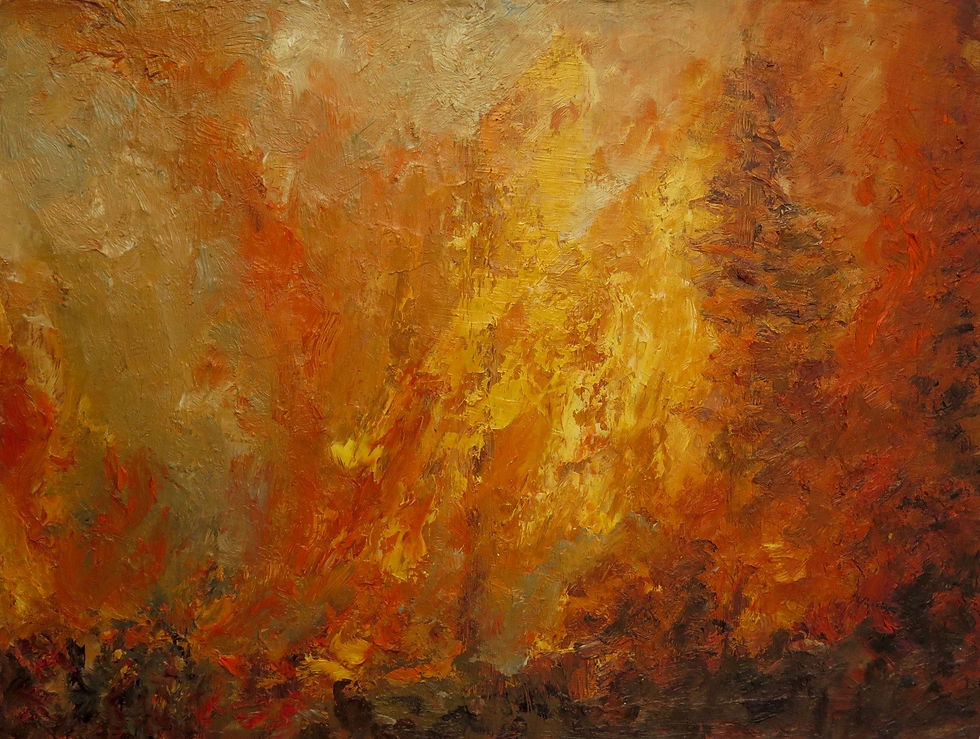 Forest Fire I