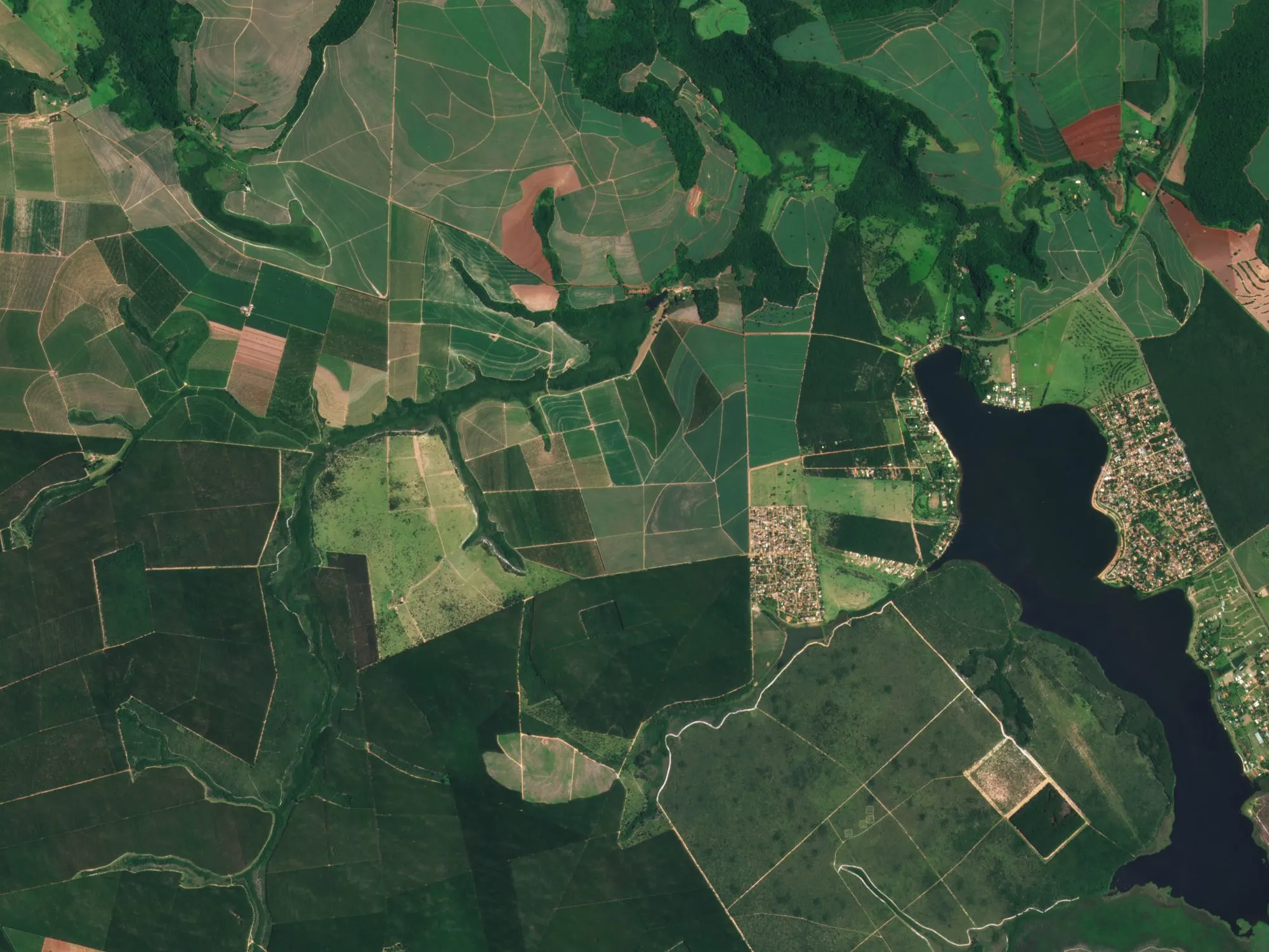 agriculture_satellite image