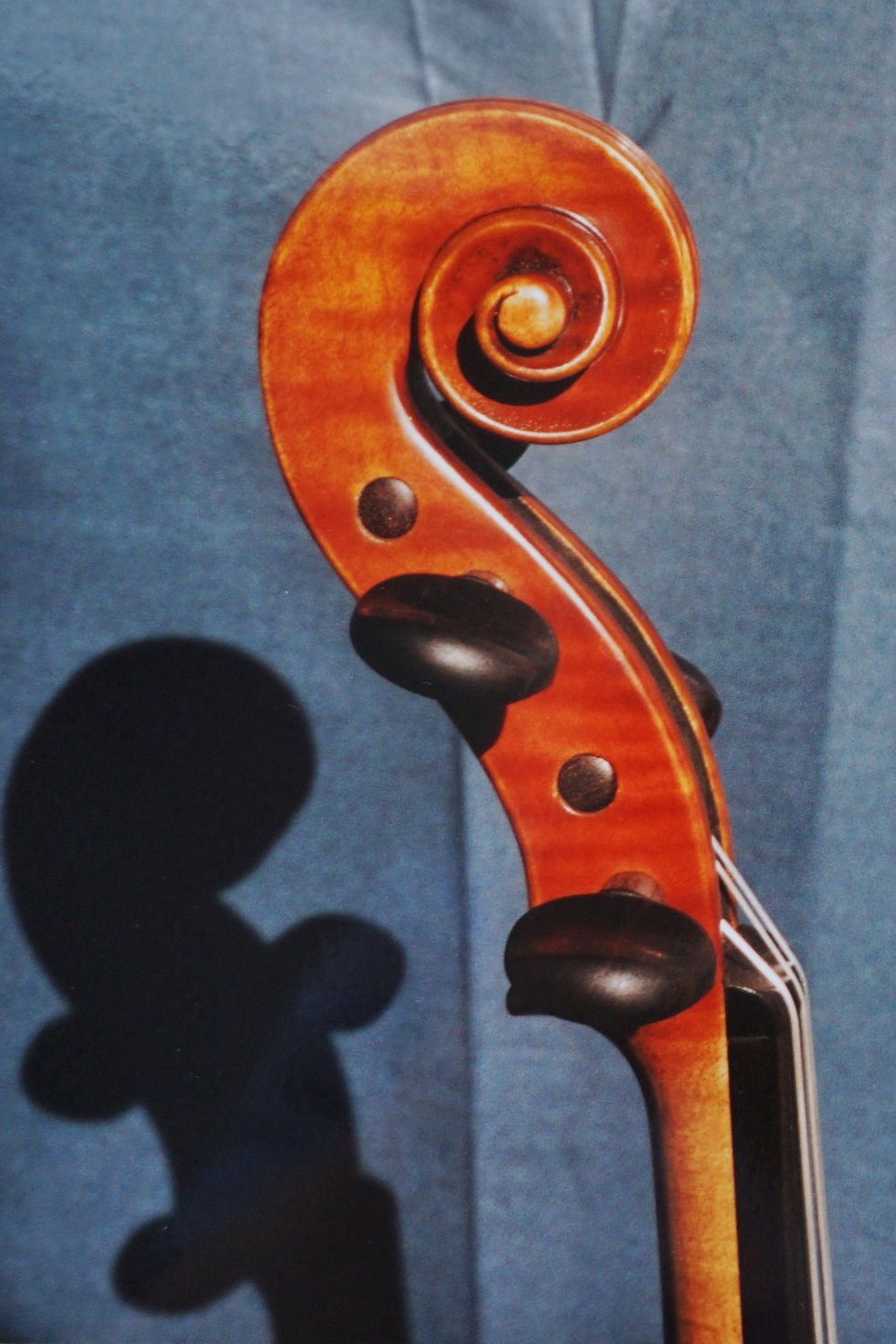 Amati Model Violin 2004 scroll