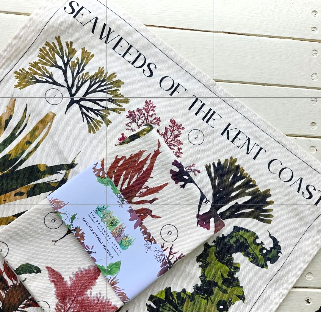 Seaweeds of the Kent Coast Tea Towel