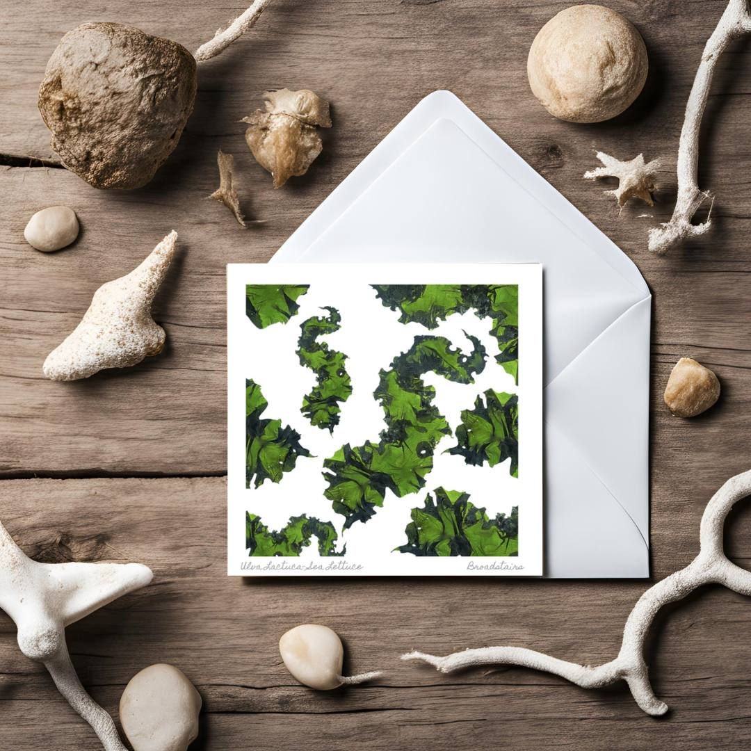 Sea Lettuce Seaweed Greeting Card