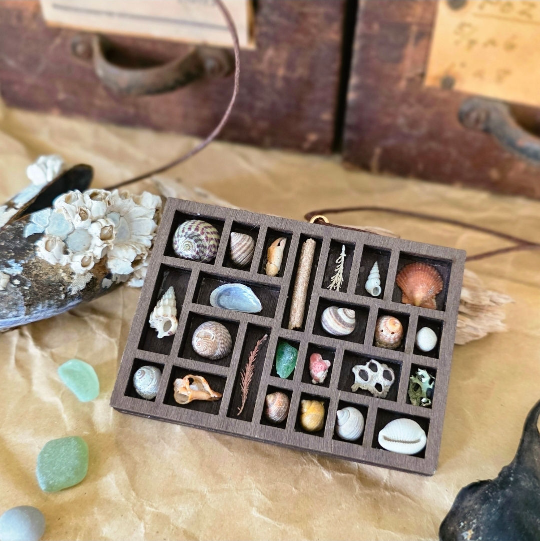 Minature Coastal Curio Tray No.2