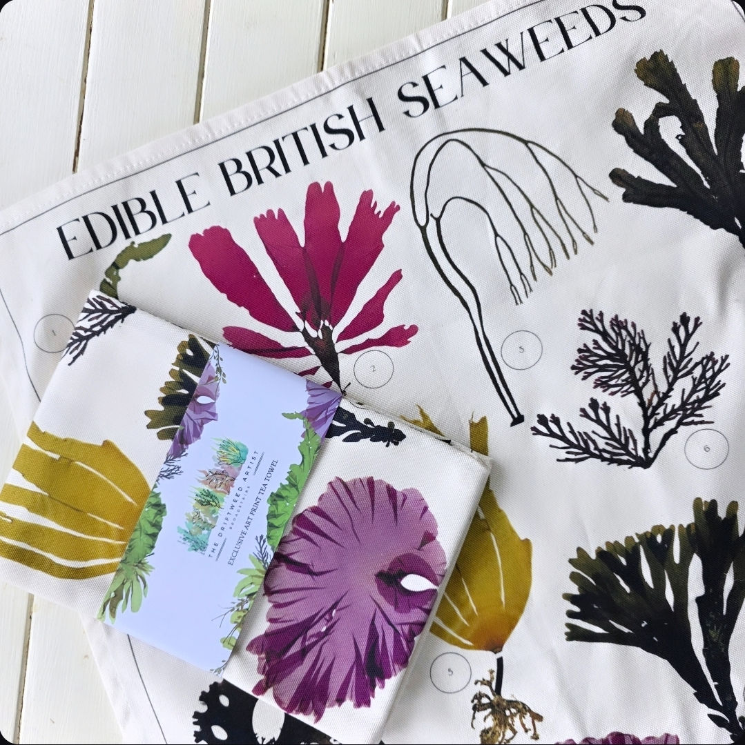 Edible British Seaweeds Tea Towel