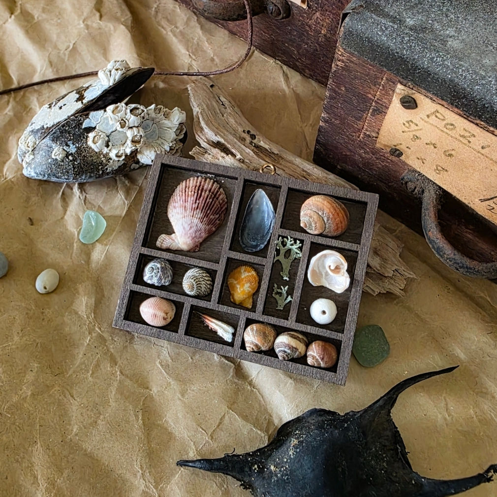 Minature Coastal Curio Tray No.4