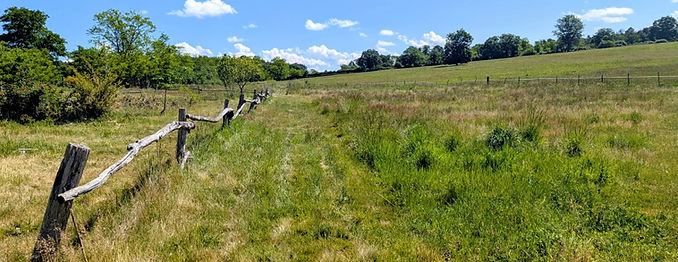 PXL_20260508_101641349~2.jpg