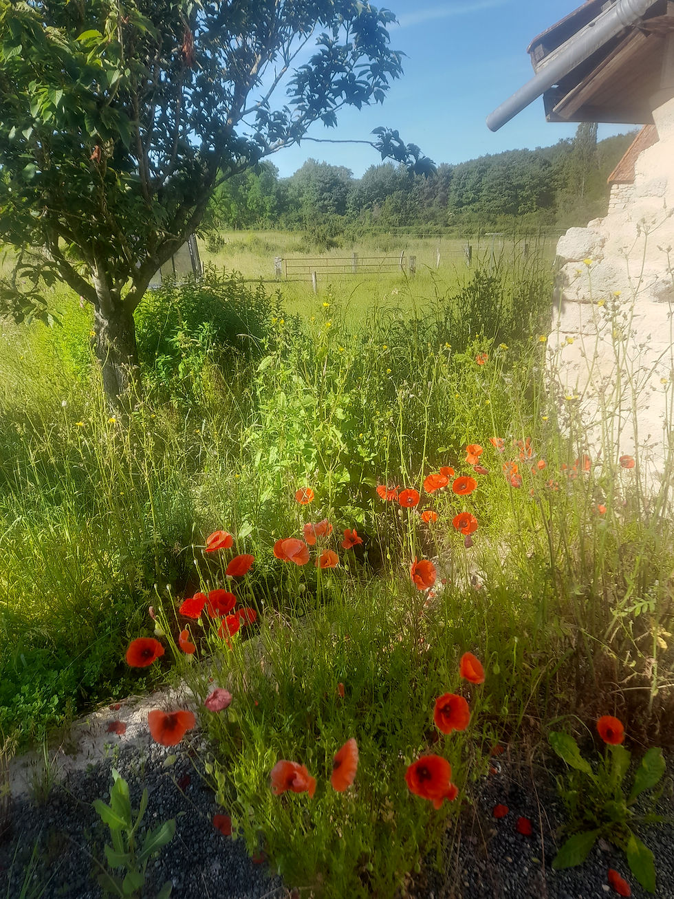 Reconnectez-vous à la nature et à vous même !