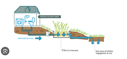 Le gîte bénéficie d'un système écologique d'assainissement des eaux usées : la phyto-épuration