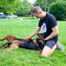 More Than Dog Training: How Strong Bond Helps You Become a Better Leader