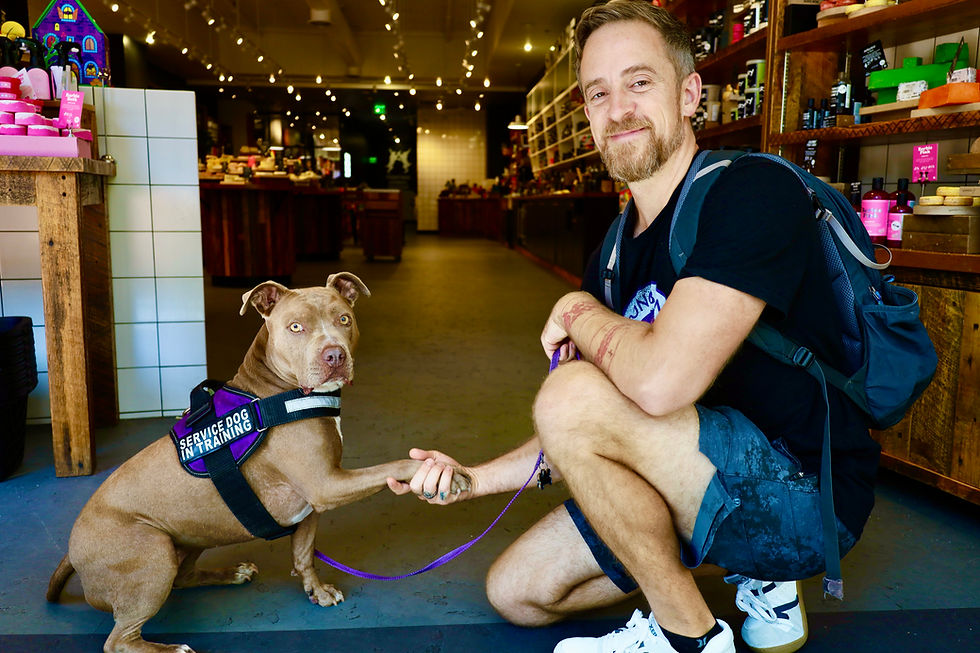 service dog in training at Strong Bond