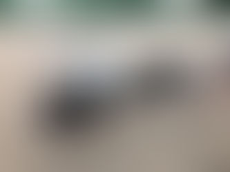 YOUR DOG IS A SOCIAL CREATURE