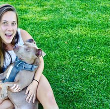 The Secret to a Happy Dog (and a Happier You): Trust-Based Dog Training
