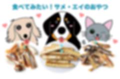 食べてみたい!サメ・エイの犬猫おやつ