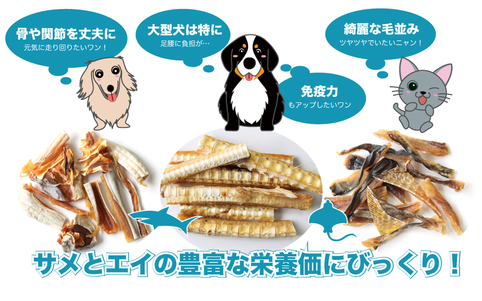 bau-bauの犬のおやつ 猫のおやつ サメとエイの栄養価