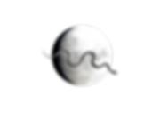 Copy of kismet (21).png