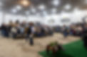 159A8090.jpg