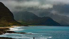 PLANNING FOR THE FUTURE - NATURAL DISASTERS