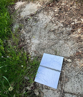 06569ed9-000c-48d9-a5e6-070d42e07095.jpeg