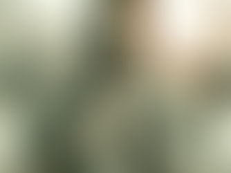 Reiniciando o Sistema ...