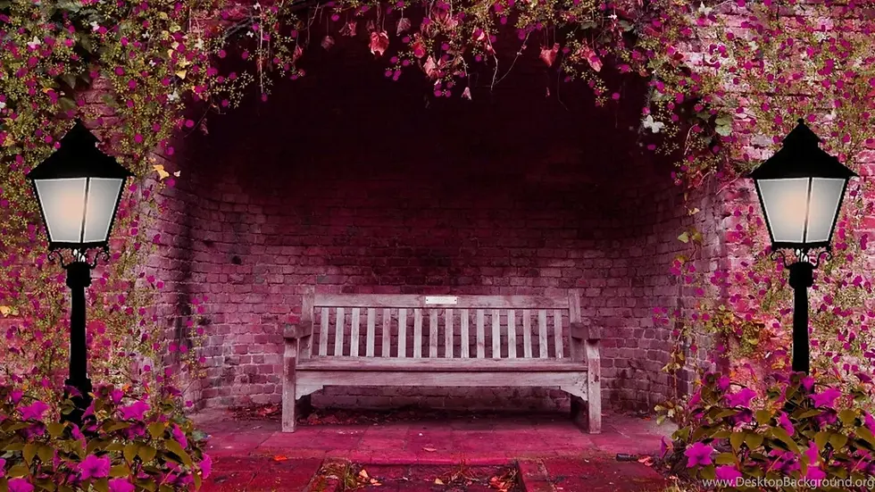 flower wall backdrop