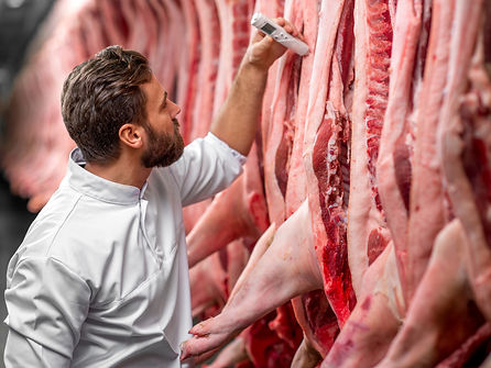Higiene e Segurança Alimentar no Setor das Carnes - Inicial