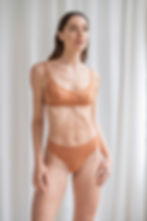 Thumbnail: Venus Panty Brown