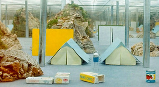 cscr-2.jpg