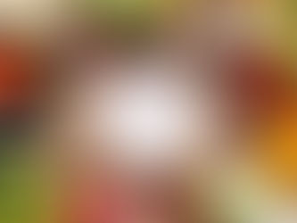 Nourishing Gut Health: A Naturopathic Approach