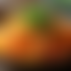 Nourishing Gut Health: A Naturopathic Approach