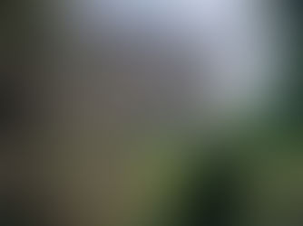 Once We Were Sisters - Inspirations