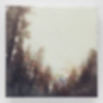 Crest From Below, Tahoe Tree Line 5