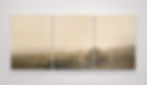 Gilded Dunes, Bodega Bay in Ochre