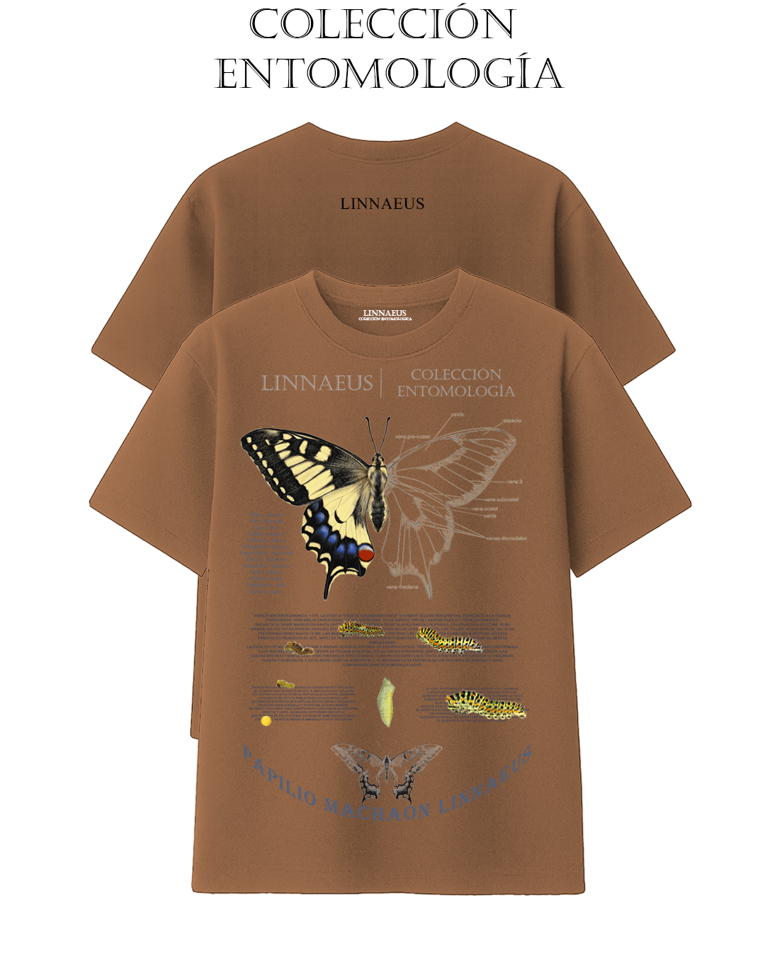 Papilio machaon REGULAR FIT