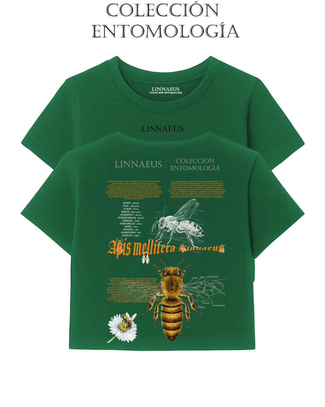 Apis mellifera CROP TOP