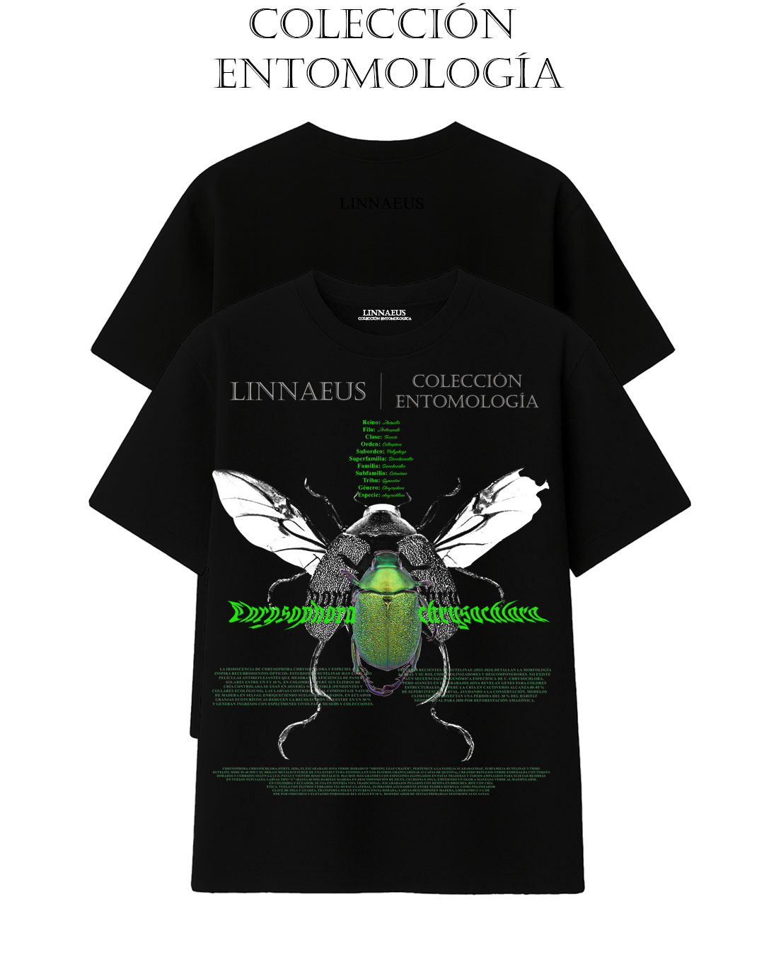 Chrysophora chrysoclora REGULAR FIT
