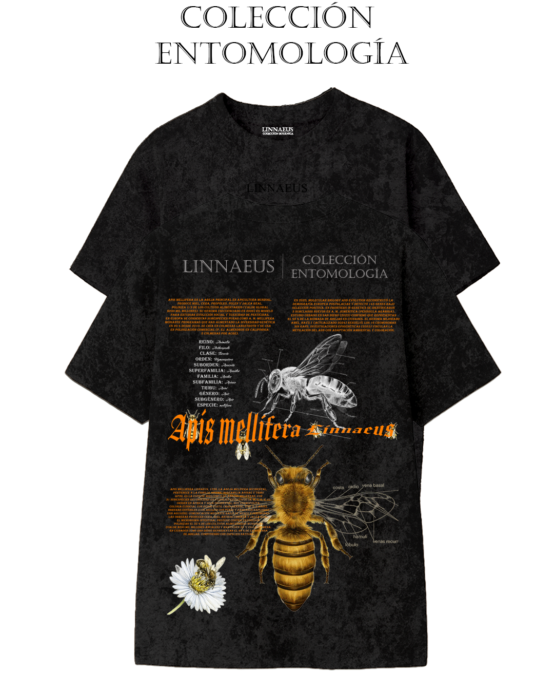 Apis mellifera OVERSIZE