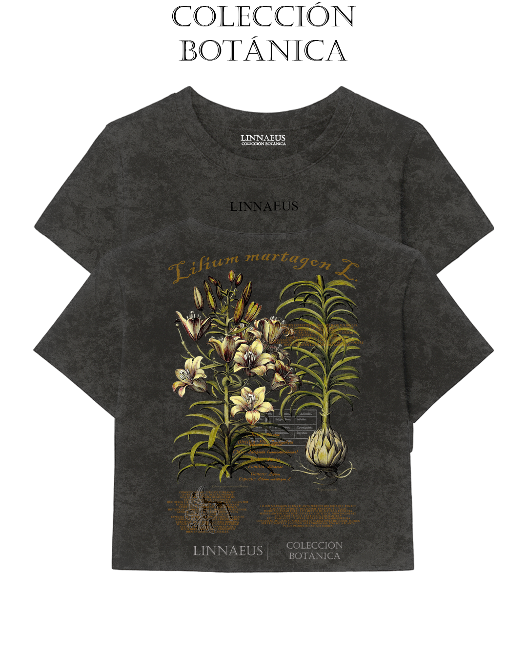 Lilium martagon CROP TOP