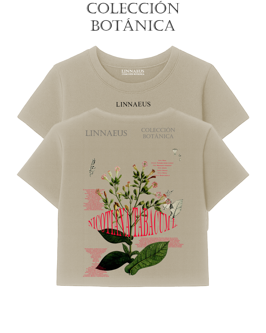 Nicotiana tabacum CROP TOP