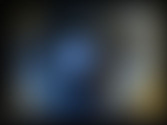 Rodent CCTV Camera Condition Inspection Package in Chiswick, W4 Stops Rats Entering Family Home