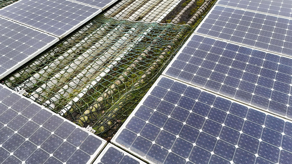 Thermal roof inspection in Newbury