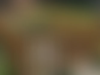 Timber Pond Fencing UK