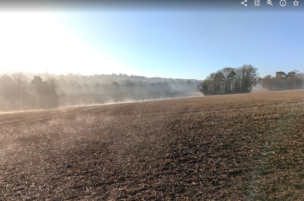 5 Great Walking Routes In Orpington