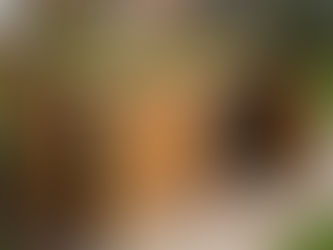 Using Timber To Hide Your Bins