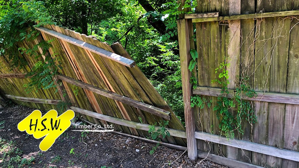 How to Choose the Right Fencing & Posts to Withstand British Winters in Kent