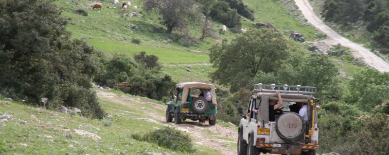 דני ג׳יפ