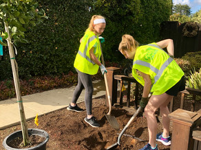 Round Two of 500 Trees Has Started! Ready to Plant?
