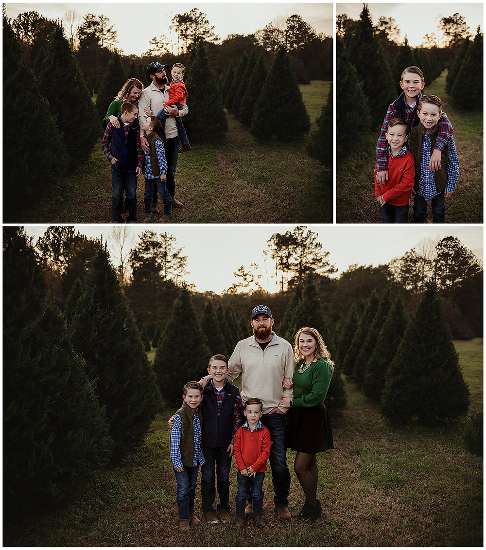 3rd Annual Christmas Tree Farm Mini Sessions at Penland Christmas Tree Farm