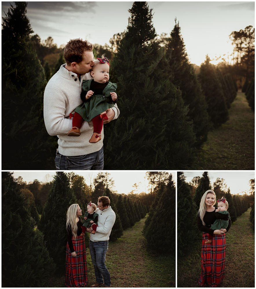 3rd Annual Christmas Tree Farm Mini Sessions at Penland Christmas Tree Farm