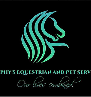 180611528_101020578823588_65832910333251