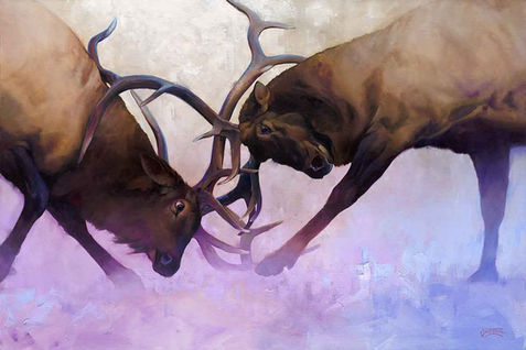 Difference of Opinion 